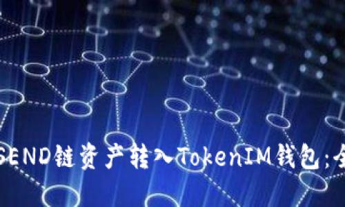 如何将SEND链资产转入TokenIM钱包：全面指南