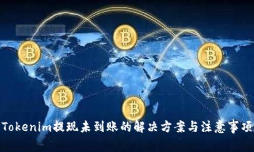 Tokenim提现未到账的解决方案与注意事项