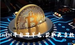 如何通过TokenIM平台薅羊毛，获取更多数字资产的