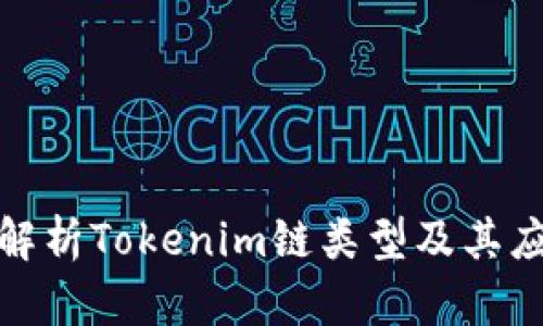 : 深入解析Tokenim链类型及其应用场景