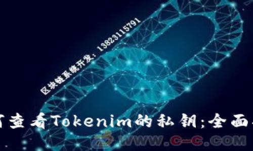 如何查看Tokenim的私钥：全面指南