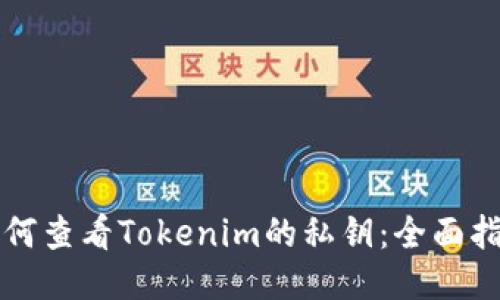 如何查看Tokenim的私钥：全面指南