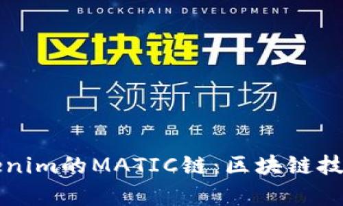 深入了解Tokenim的MATIC链：区块链技术与应用前景