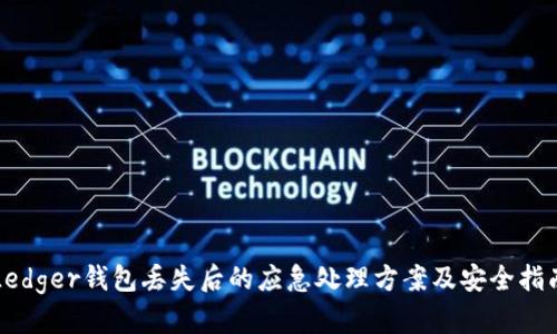 Ledger钱包丢失后的应急处理方案及安全指南