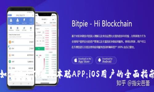 如何安全下载中本聪APP：iOS用户的全面指南