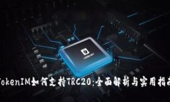 TokenIM如何支持TRC20：全面解析与实用指南