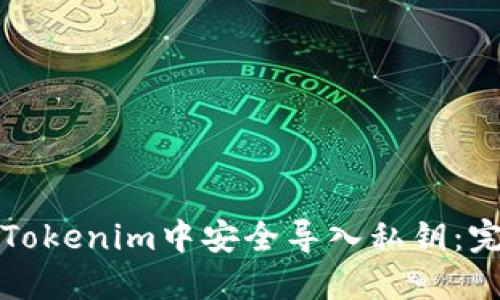 如何在Tokenim中安全导入私钥：完整指南
