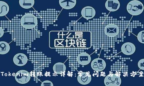 Tokenim转账提示详解：常见问题与解决方案