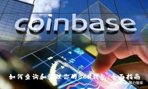 如何查询和管理你的BCH钱包：全面指南