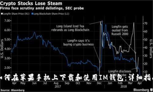 如何在苹果手机上下载和使用IM钱包：详细指南