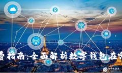 数字钱包消费指南：全面解析数字钱包在哪里可