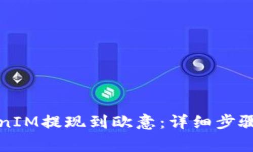 如何将TokenIM提现到欧意：详细步骤与注意事项