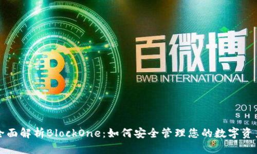 全面解析BlockOne：如何安全管理您的数字资产