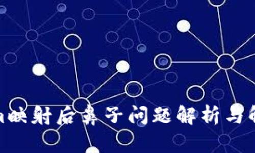 Tokenim映射后鼻子问题解析与解决方案